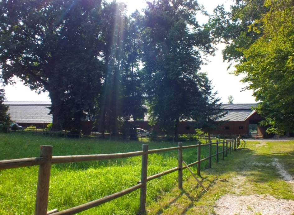 Gniazdo W Parku Hotel Wasniow Bagian luar foto